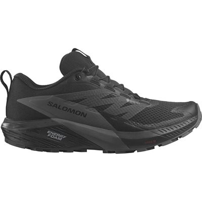 Salomon Sense Ride 5 GTX homme