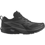 Salomon Sense Ride 5 GTX homme